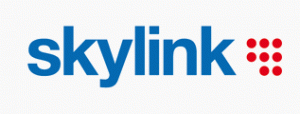 logo Skylink